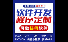 其他SaaS服务软件开发定制MES开发定制SAA